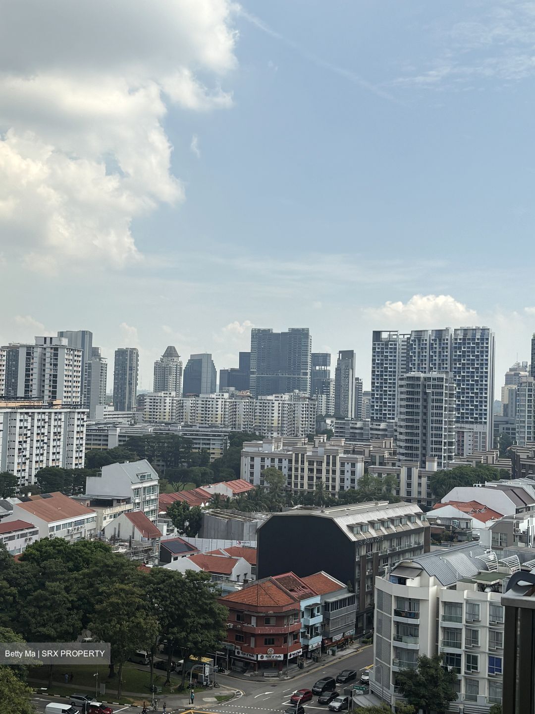 Uptown @ Farrer (D8), Apartment #560236961